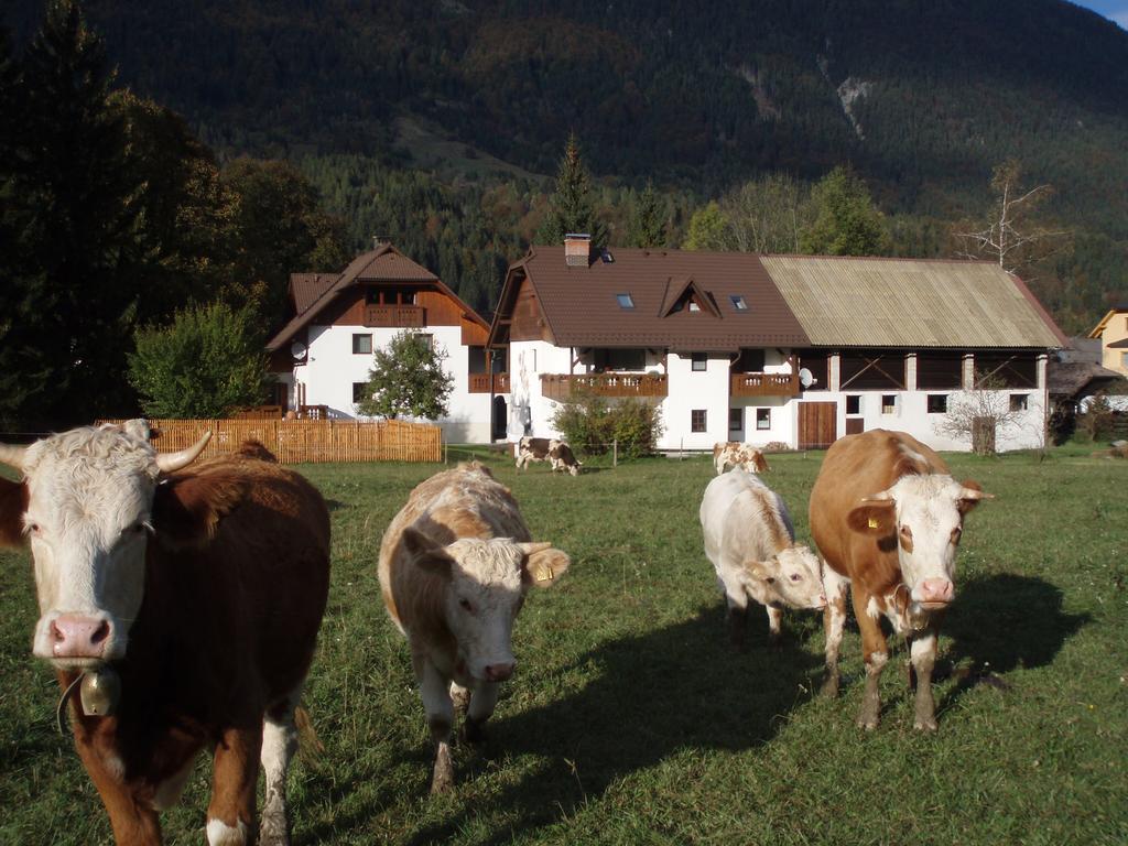 Farm Kosir Villa Kranjska Gora Ngoại thất bức ảnh