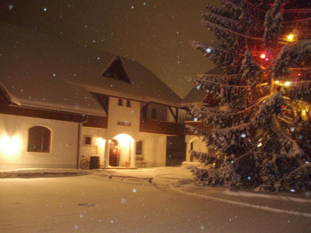Farm Kosir Villa Kranjska Gora Ngoại thất bức ảnh