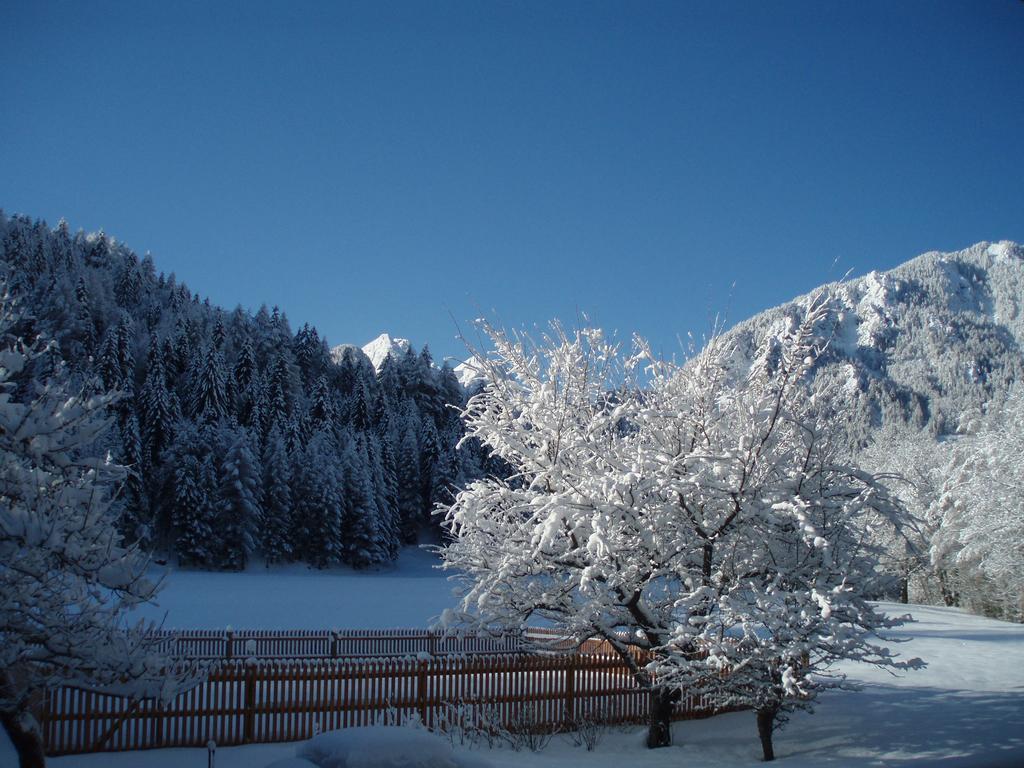 Farm Kosir Villa Kranjska Gora Ngoại thất bức ảnh